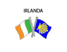 Pin de metal com a bandeira da Irlanda Camino Santiago