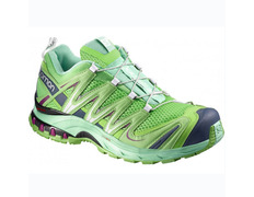 Sapato Salomon XA PRO 3D W verde / roxo