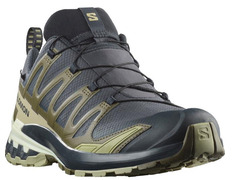 Sapato Salomon XA Pro 3D V9 GTX cinza/oliva