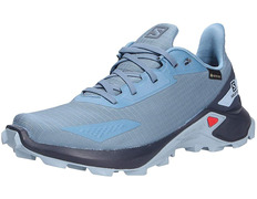 Sapatos Salomon Alphacross GTX W Azul