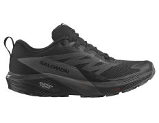 Sapatos Salomon Sense Ride 5 GTX Preto