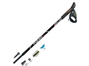 Par de bastões Fizan Nordic Walking Speed  Violeta