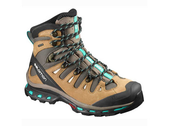 Bota Salomon Quest 4D 2 GTX W marrom / preta