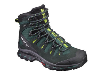Bota Salomon Quest 4D 2 GTX Verde / Preto