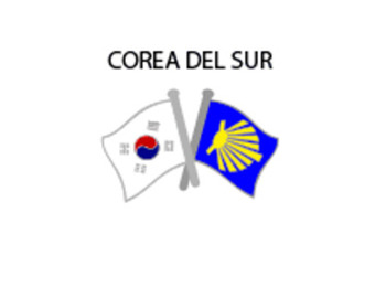 Metal Pin Flag South Korea Camino Santiago