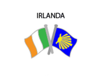 Pin de metal com a bandeira da Irlanda Camino Santiago