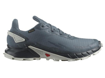 Sapato Salomon Alphacross 4 GTX cinza
