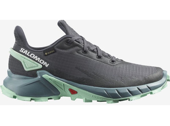 Sapato Salomon Alphacross 4 GTX W cinza/turquesa