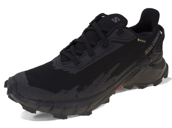 Sapato Salomon Alphacross 4 GTX W Preto