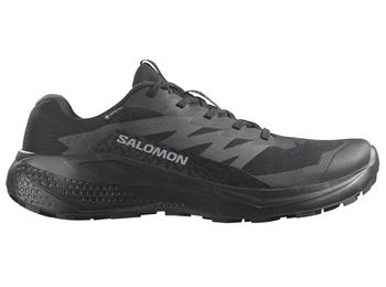 Tênis Salomon Alphaglide GTX Preto