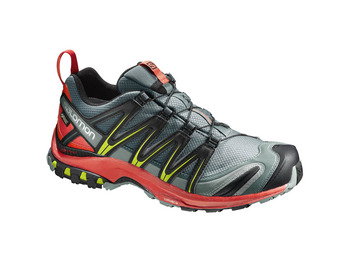 Salomon XA PRO 3D GTX sapato cinza / vermelho / limão