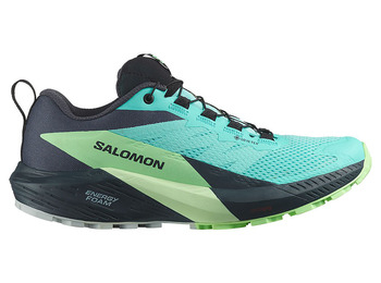 Sapato Salomon Sense Ride 5 GTX W Azul/Verde