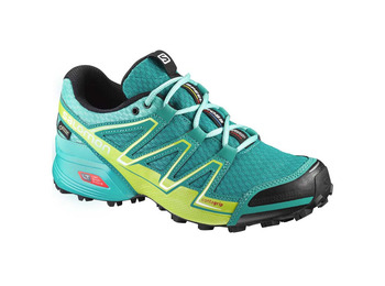 Sapato Salomon Speedcross Vario GTX W Aquamarine / Lima