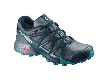 Salomon Speedcross Vario 2 GTX W cinza / preto