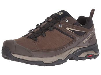 Sapatos Salomon X Ultra 3 LTR GTX castanhos