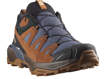 Sapato Salomon X Ultra 360 Ltr Gtx Marrom/Indigo