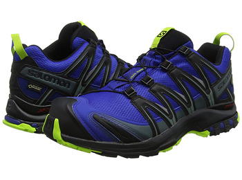 Sapatos Salomon XA PRO 3D GTX Azul / Preto / Lima