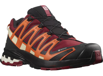 Salomon XA PRO 3D V8 GTX laranja / azulejo