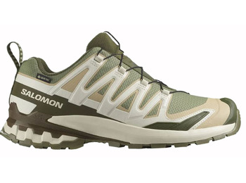 Sapato Salomon XA PRO 3D V9 GTX Verde/Bege