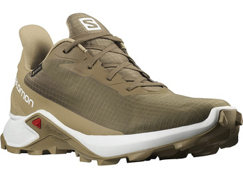 Sapatos Salomon Alphacross 3 GTX Marrom / Bege