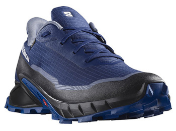 Sapatos Salomon Alphacross 5 GTX Azul