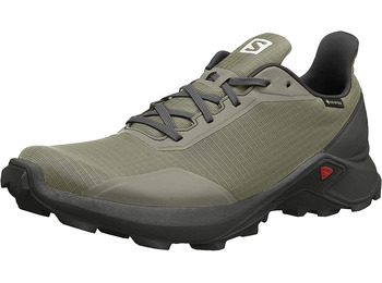 Zapatillas Salomon Alphacross GTX Gris / Kaki