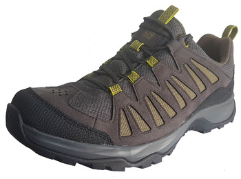 Sapatos Salomon Eos GTX cinza / verde