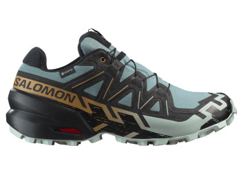 Zapatillas Salomon Speedcross 6 GTX Gris/Negro/Oro