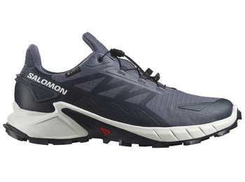 Ténis Salomon Supercross 4 GTX cinzento