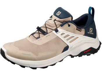 Sapatos Salomon X Raise GTX Bege / Marinho