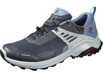 Sapatos Marinhos Salomon X Raise GTX