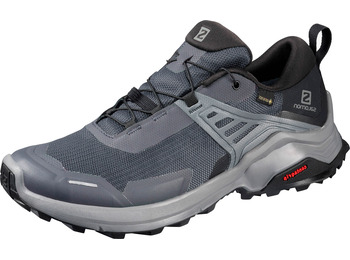 Sapatilhas Salomon X Raise GTX W cinza