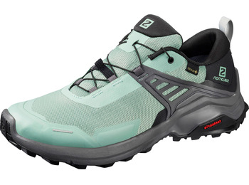 Sapatos Salomon X Raise GTX W Turquesa