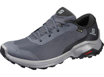 Salomon X Reveal GTX W Grey Shoes