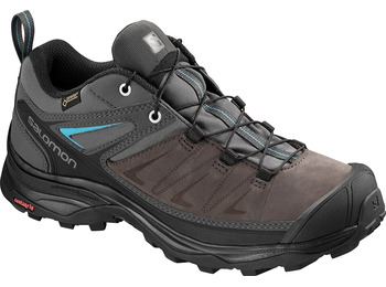 Sapatos Salomon X Ultra 3 LTR GTX W Marrom / cinza