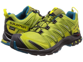 Sapatos Salomon XA PRO 3D GTX Pistache Verde / Azul