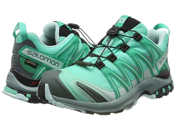Sapatos Salomon Xa Pro 3D GTX W verde
