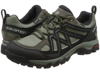 Sapatos Salomon Evasion 2 GTX cáqui / preto