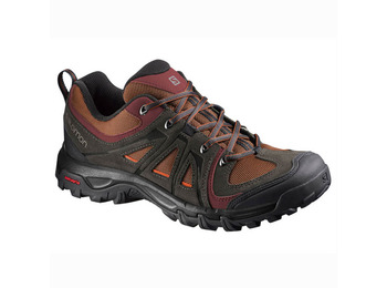 Salomon Evasion Aero Shoe Brown / Tile