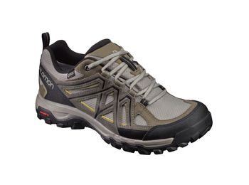 Sapato Salomon Evasion 2 GTX Arena