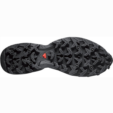 Salomon X Ultra 2 Spikes GTX W Shoes cinza / preto / malva