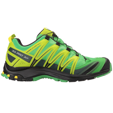 Salomon XA PRO 3D GTX Cal / Verde