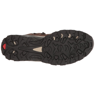 Botas Salomon Authentic LTR GTX Marrom
