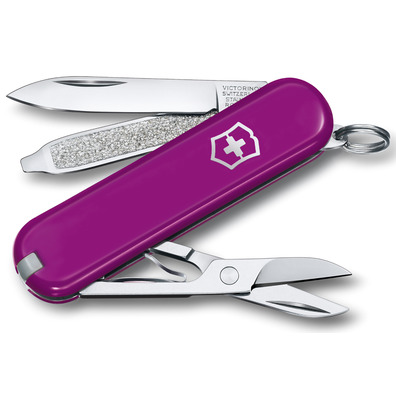 Canivete Victorinox Classic SD 7 usos Roxo