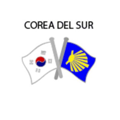 Metal Pin Flag South Korea Camino Santiago
