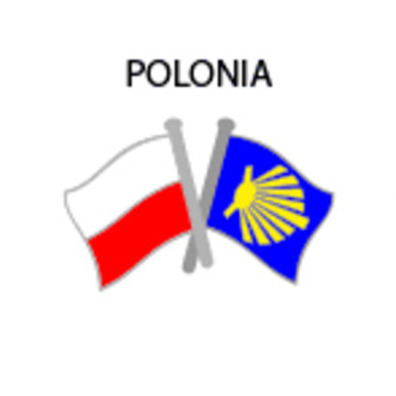 Metal Pin Flag Poland Camino Santiago