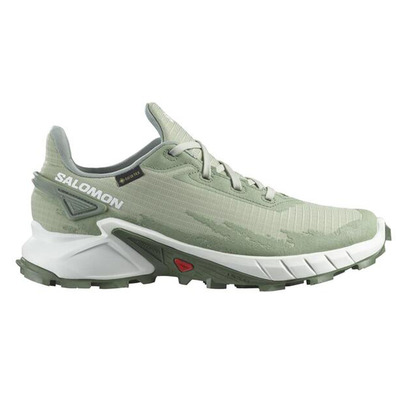 Sapato Salomon Alphacross 4 GTX W Verde