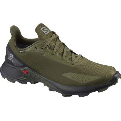 Sapato Verde Salomon Alphacross Blast GTX