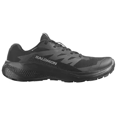 Tênis Salomon Alphaglide GTX Preto