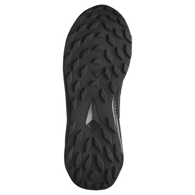 Tênis Salomon Alphaglide GTX Preto